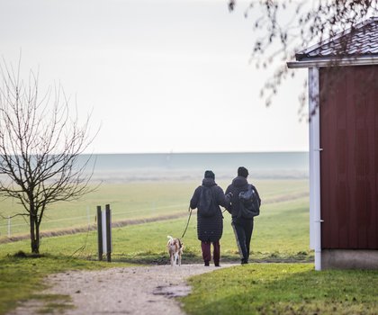 Duinbungalow Tjermelân