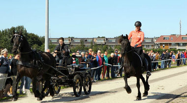 9/9 Marktdraverij Marktdraverij Terschelling